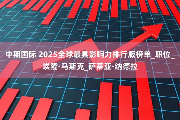 中期国际 2025全球最具影响力排行版榜单_职位_埃隆·马斯克_萨蒂亚·纳德拉