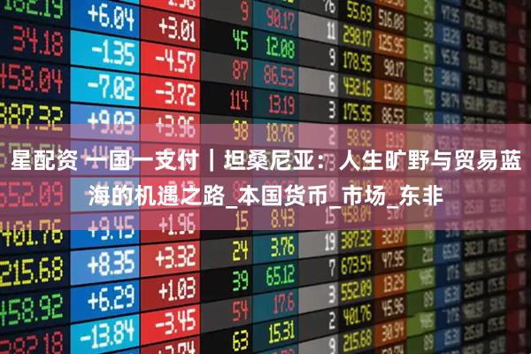 星配资 一国一支付｜坦桑尼亚：人生旷野与贸易蓝海的机遇之路_本国货币_市场_东非